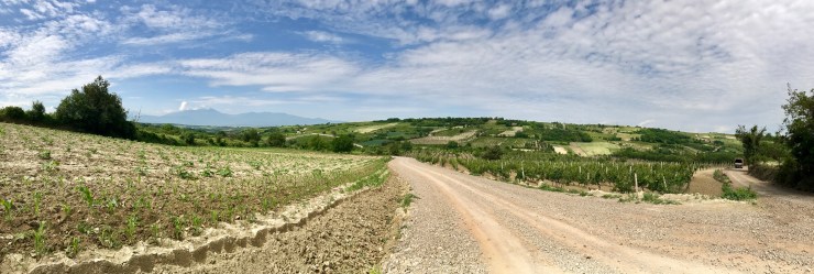 FullSizeRender.jpg-16