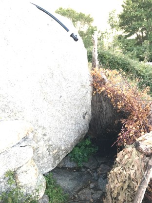 FBC66BC3-05D1-4F17-A255-BAB77123DB67