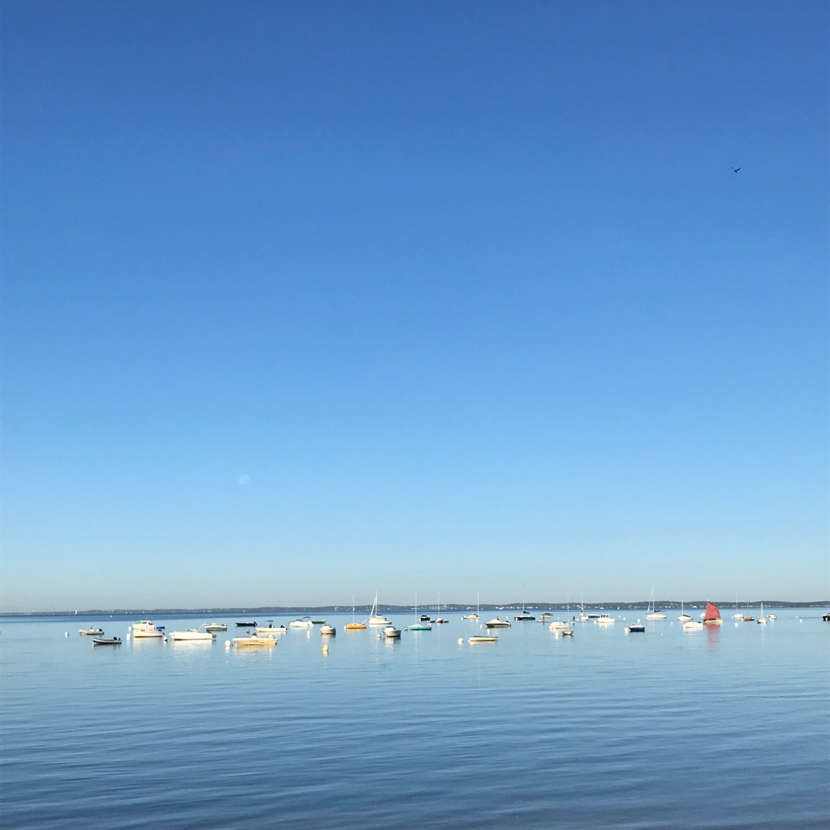 Running Roadtrip #4 – Andernos et un bonus&nbsp;sablonneux!