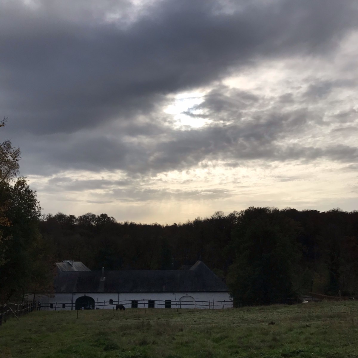 Un chouette parcours de 18 km (et une version allongée) en forêt de Soignes du côté de&nbsp;Groenendael!